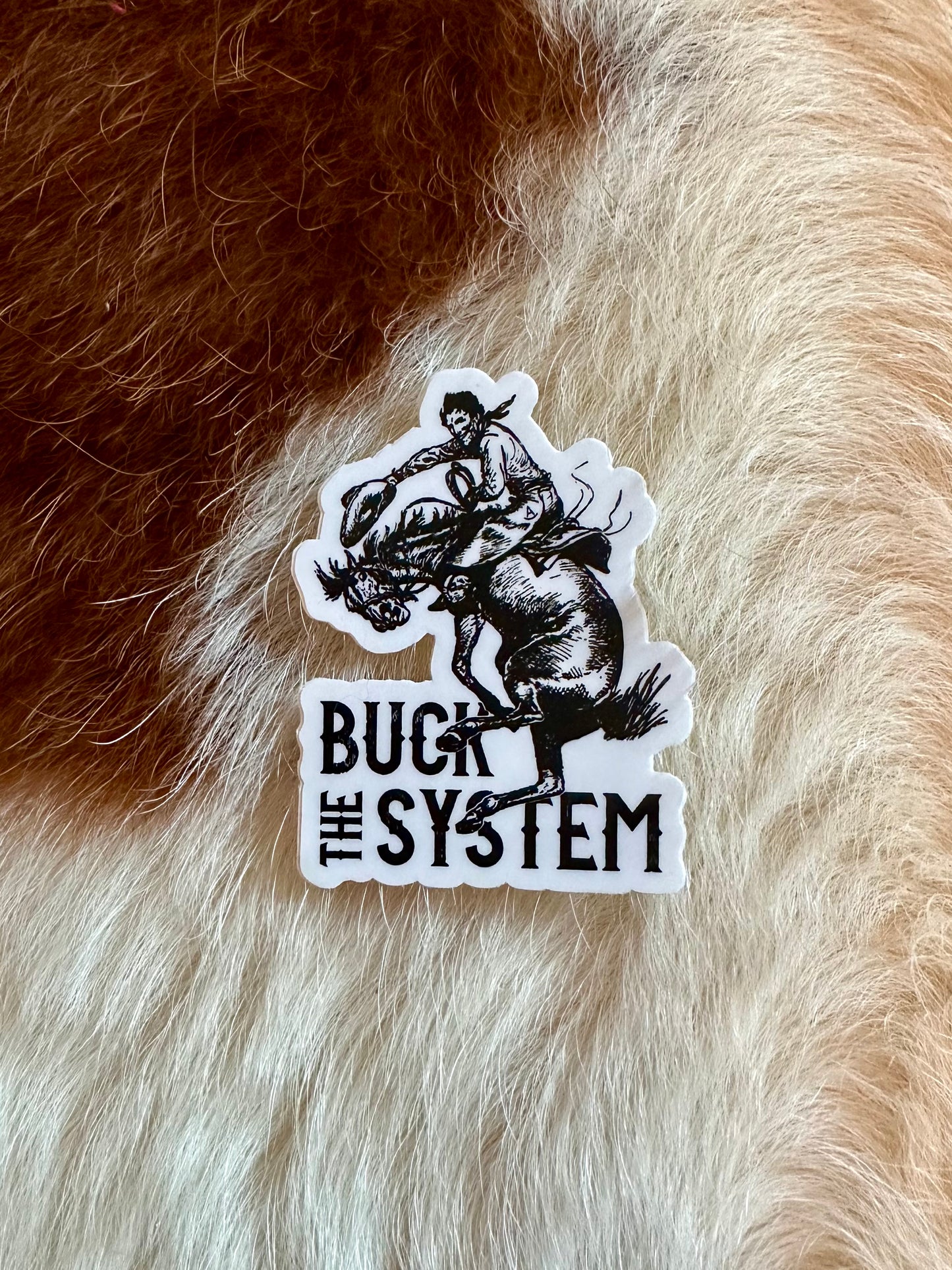 Buck The System Sticker