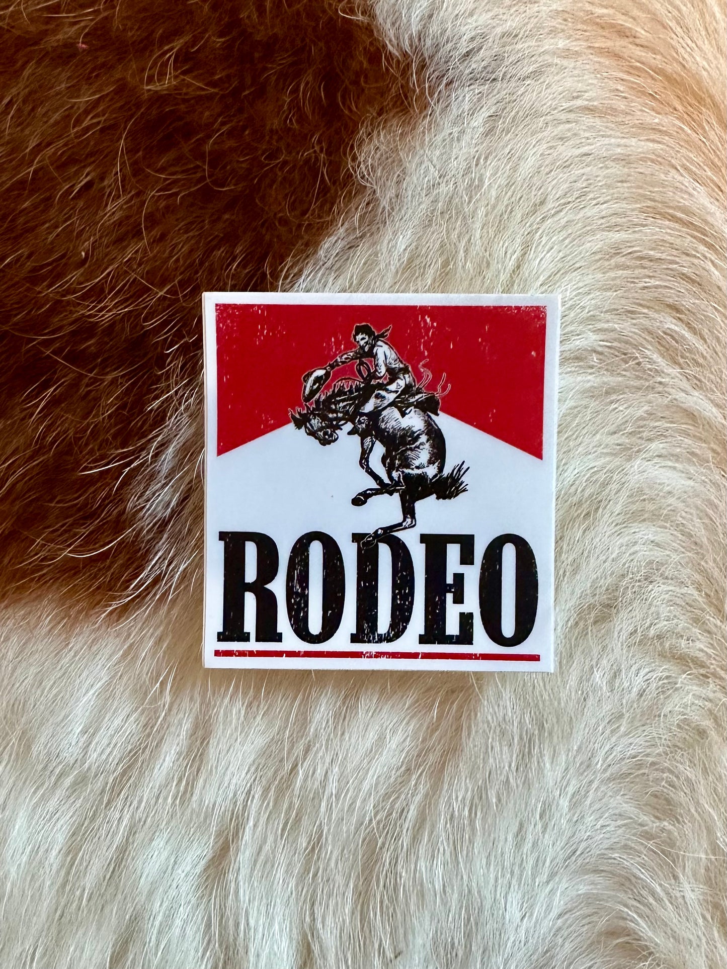 Rodeo Bronc Sticker