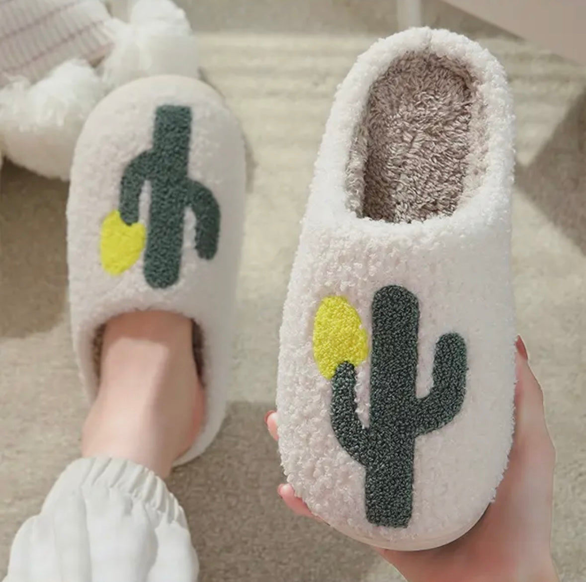 Cactus Slippers