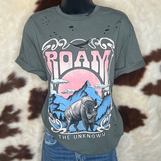 Mountain Roaming Oversized Graphic Tee